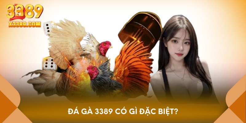 Đá gà 3389 có gì đặc biệt?