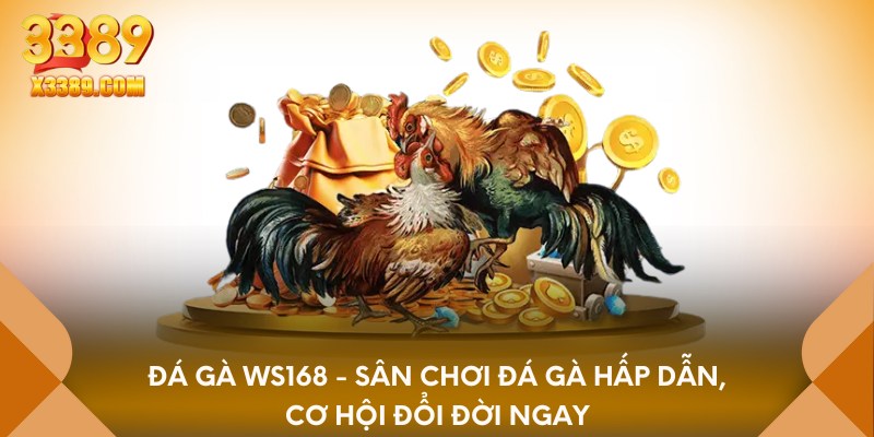 Đá gà Ws168 - sân chơi đá gà hấp dẫn, cơ hội đổi đời ngay