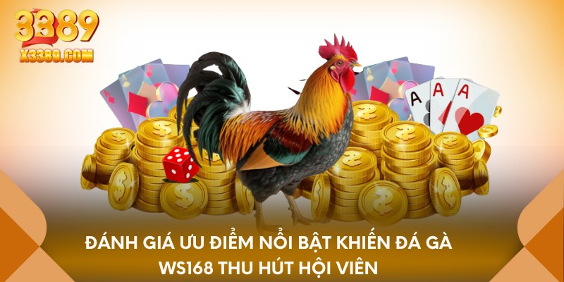 Đánh giá ưu điểm nổi bật khiến đá gà WS168 thu hút hội viên