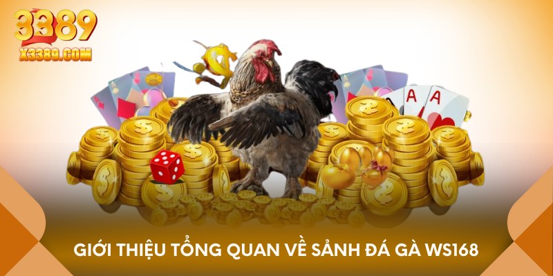 Vài nét về sảnh đá gà ws168