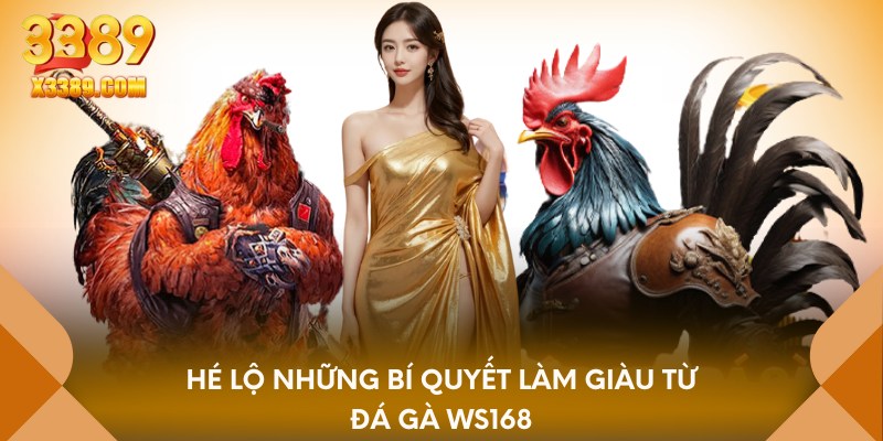 Hé lộ những bí quyết làm giàu từ đá gà WS168