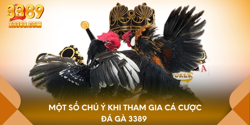 Một số chú ý khi tham gia cá cược đá gà 3389